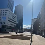 Saede タリン